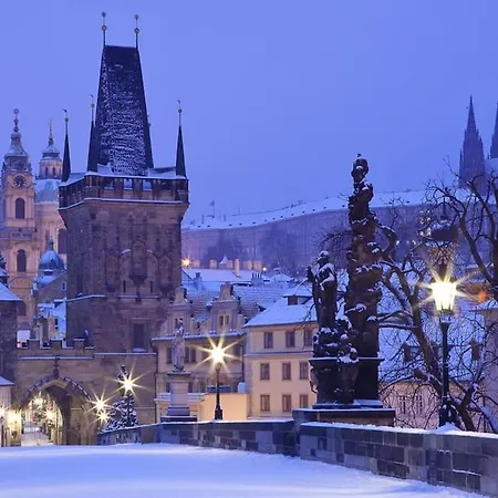 Abbot's * Praag